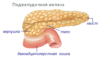 Опухоль поджелудочной железы