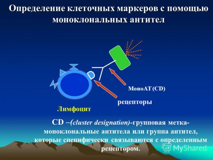 иммунотерапия рака за границей